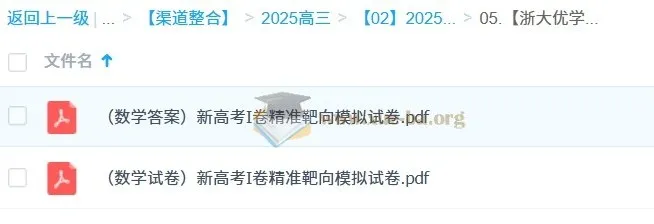 浙大优学2025版《靶心靶向卷》(数学):新高考I卷模拟试卷