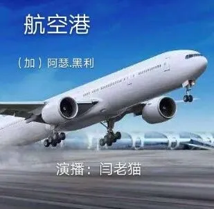 阿瑟·黑利职场小说《航空港》82集全
