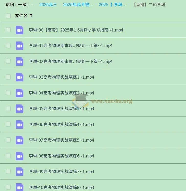 2025年高三高考物理李琳二轮复习课程