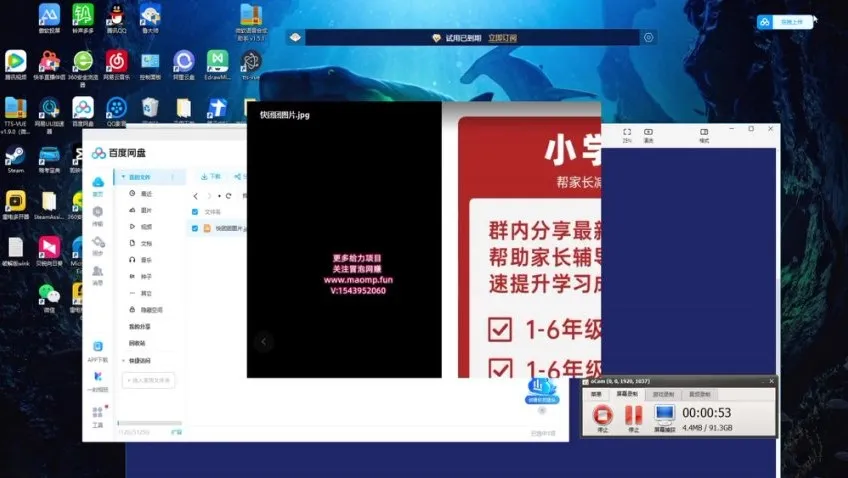 小红书新手日赚500+：刚需产品蓝海项目实战指南