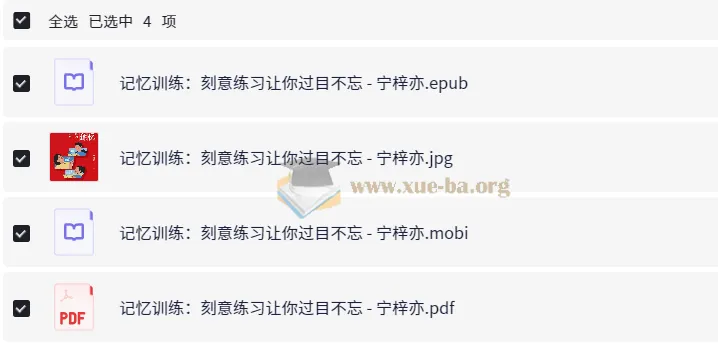 《记忆训练：刻意练习让你过目不忘》：提升学习能力的秘籍