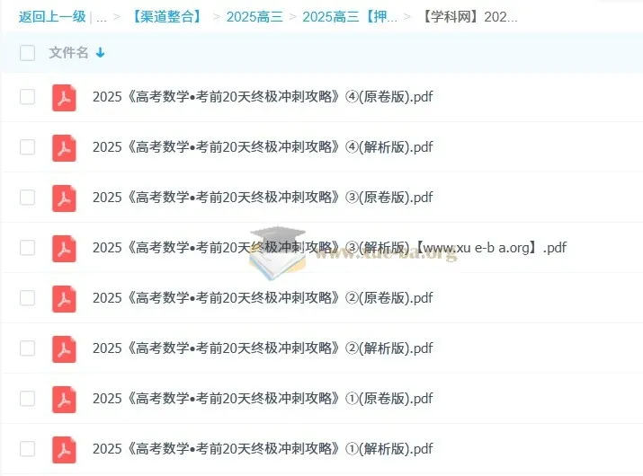 2025高考数学考前20天终极冲刺攻略1 - 4辑（学科网）