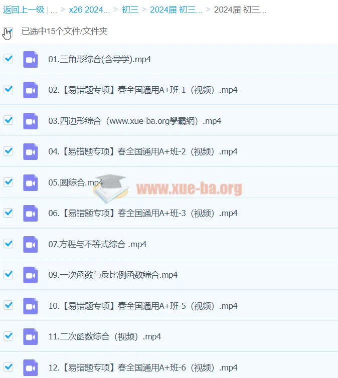 2024初三中考数学寒假班(春上) - 王杭州