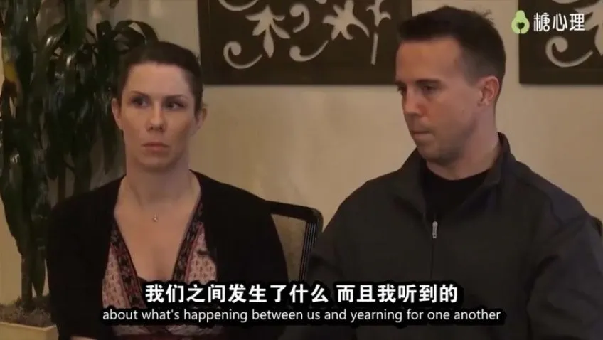 EFT夫妻咨询进阶课:13讲核心议题深度解析