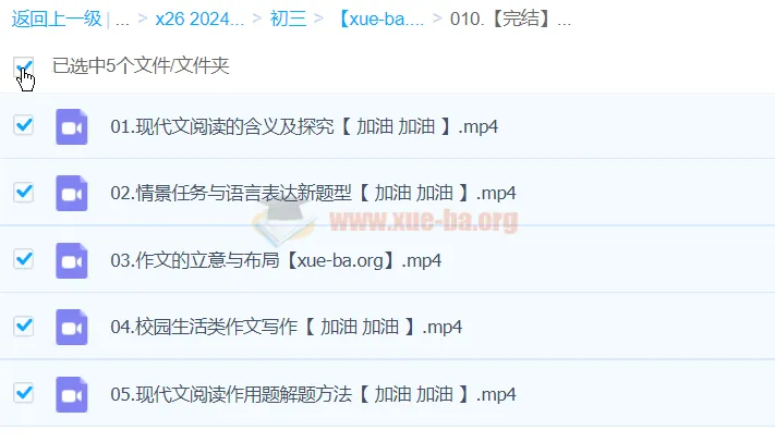 2024中考语文复习冲刺课程完结版