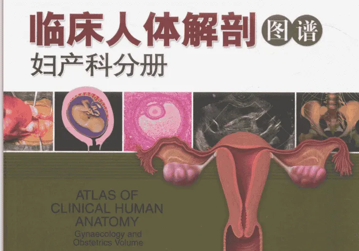 女性解剖图谱(彩图版)高清电子书