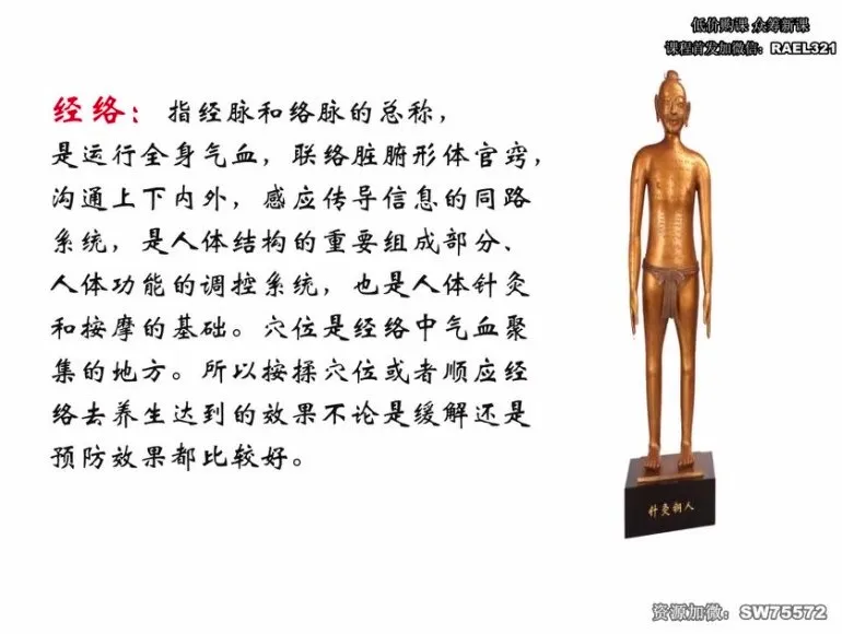 高思楠补肾宝典：现代男性健康养护指南