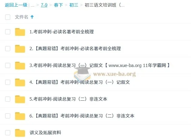 2025段微微初三语文中考冲刺班（春下·全国版·A+）备考课程