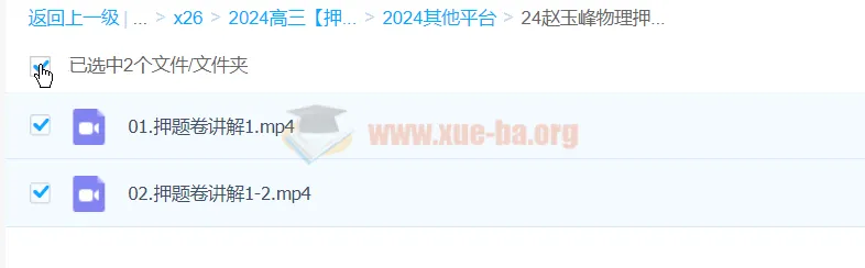 赵玉峰物理2024高三高考押题课 冲刺提分精讲