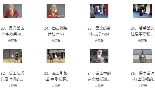 杰森拳击系统教学65课合集 中英双语字幕