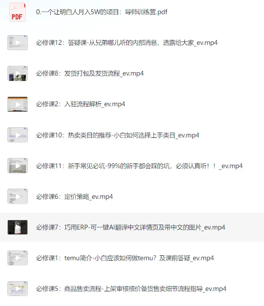 海外版拼多多Temu从零到一实践课:入驻到运营全链路教程