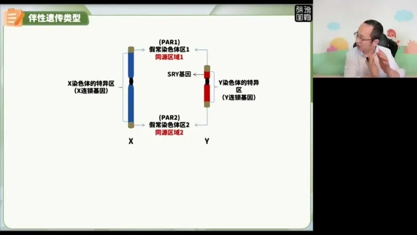 2024徐京高考生物点睛押题卷（全国各省卷+解析）备考冲刺资料