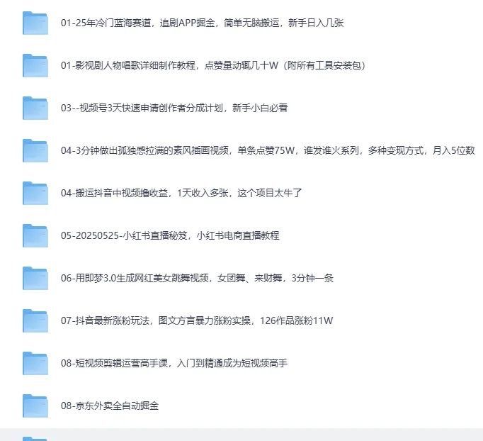 2025最新网创项目合集，事业赚钱必学教程