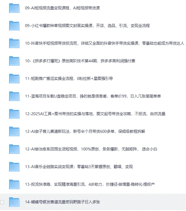 2025最新网创项目合集，事业赚钱必学教程