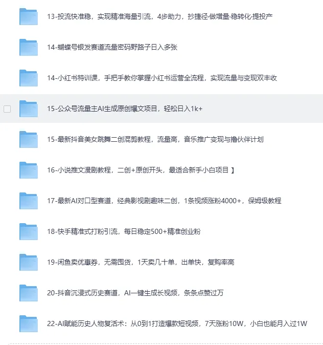 2025最新网创项目合集，事业赚钱必学教程