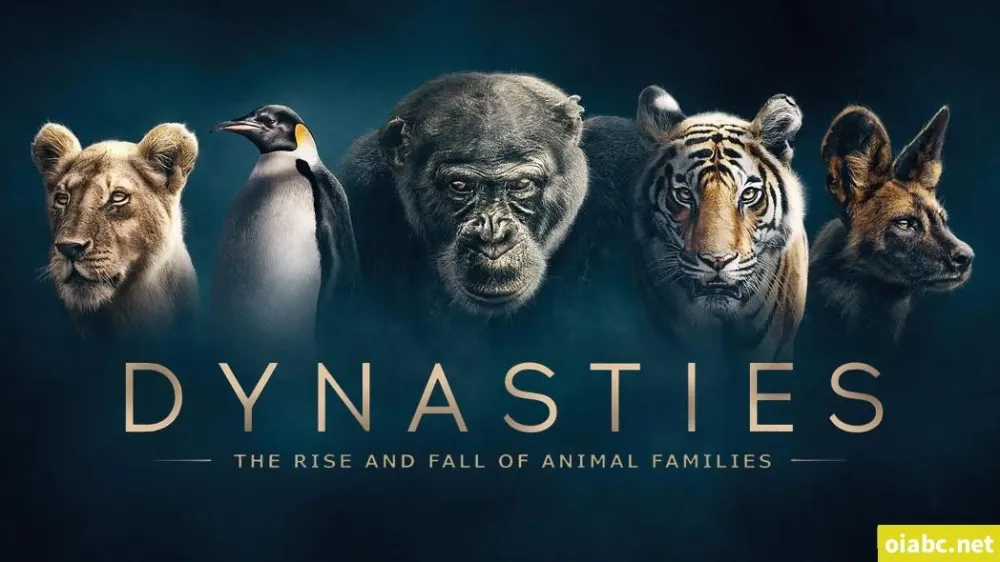 BBC纪录片《王朝 Dynasties》2018英文版全5集 中英双字幕高清收藏