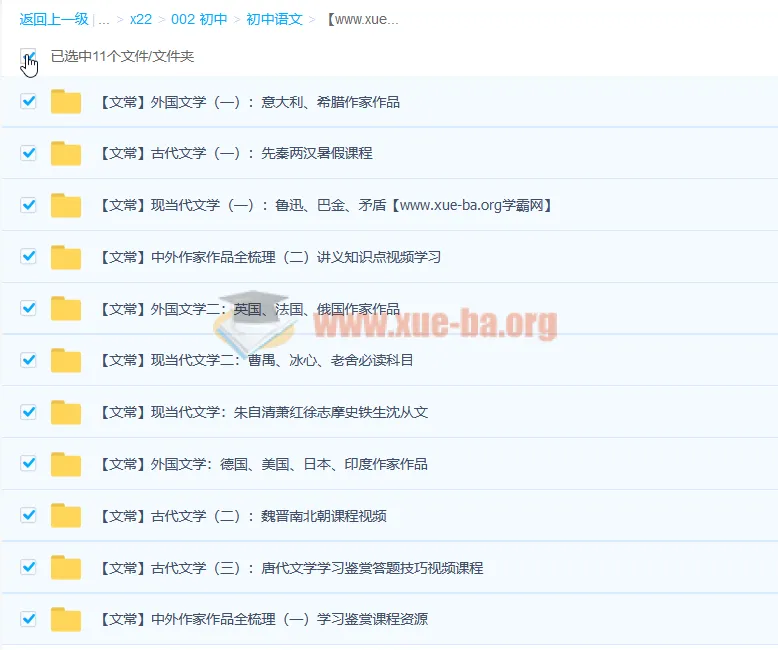 达吾力江文学常识专题课11讲:中外文学脉络与考点精讲(附讲义)