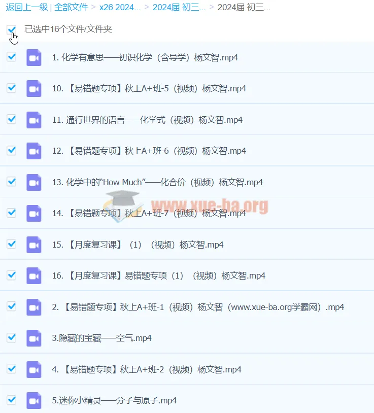 2024初三中考化学 杨雯智 A+暑假班 系统课程