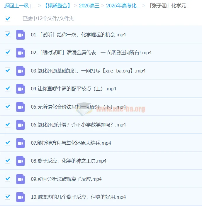 2025高考化学冲刺:张子涵化学元素突破营系统课程