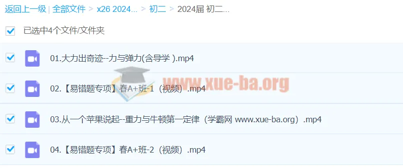 2024初二物理何勇A+寒假班(春上)课程资源