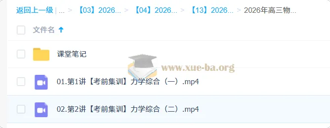 袁帅 2026高三高考物理 冲刺密训班