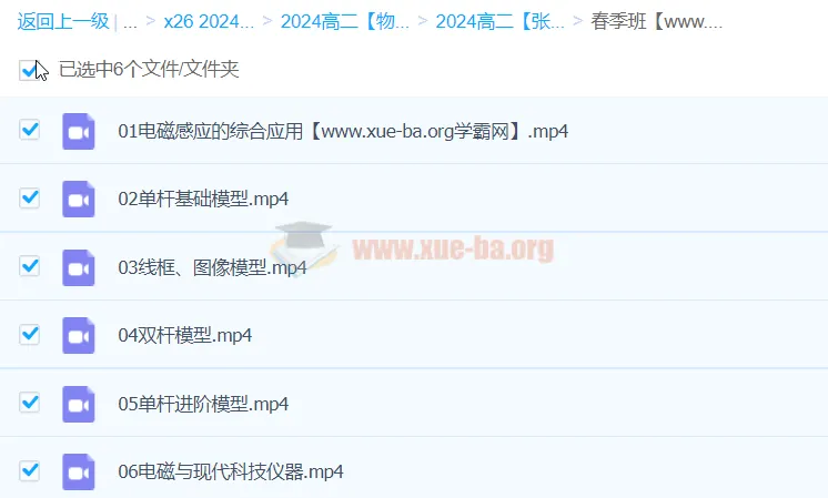 2024高二物理 张展博物理 春季班 核心专题精讲