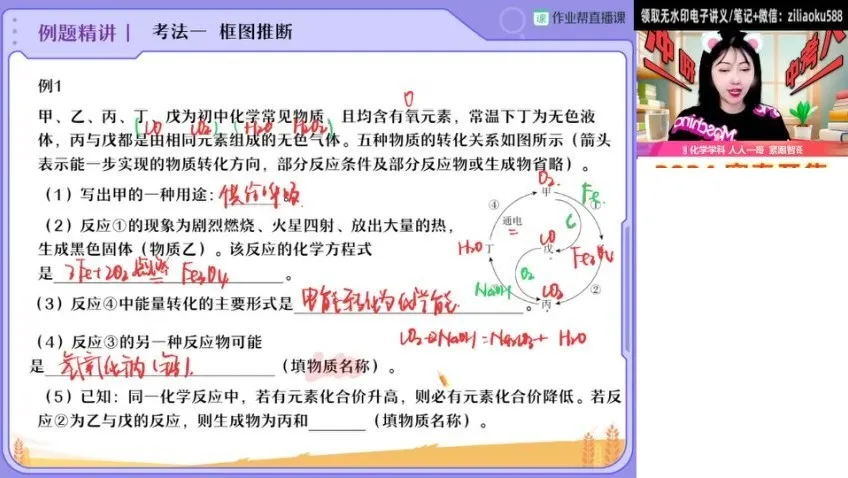 2024中考化学S班秋季高效提分攻略:杨雯智主讲核心考点与易错专项
