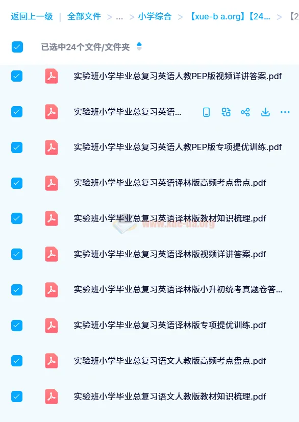实验班小学毕业总复习(2024版)全科备考资料