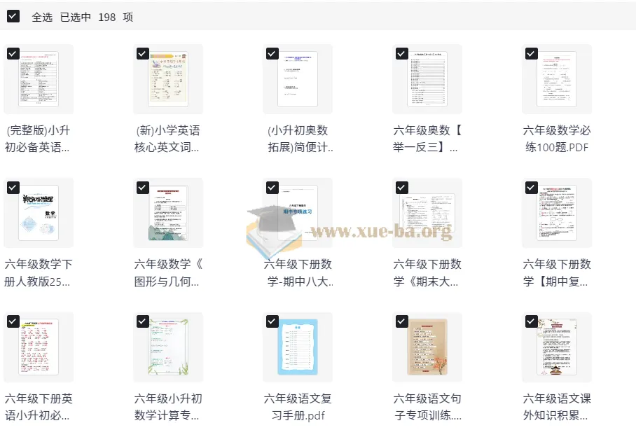 小学六年级小升初备考资料合集