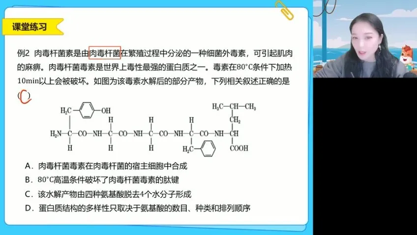 2025高一生物必修一系统精讲班：细胞结构与功能全突破