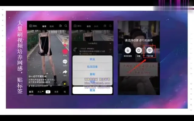 抖音带货从零到百万：小白创业实战指南