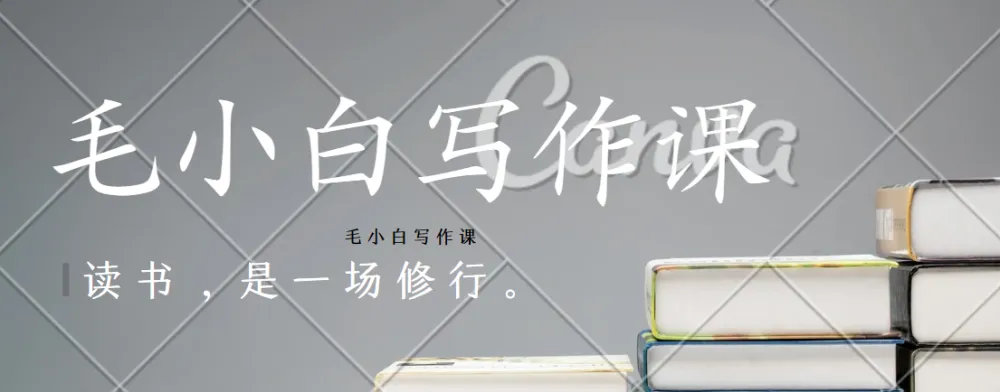 毛小白写作课：从入门到变现的全流程实战指南