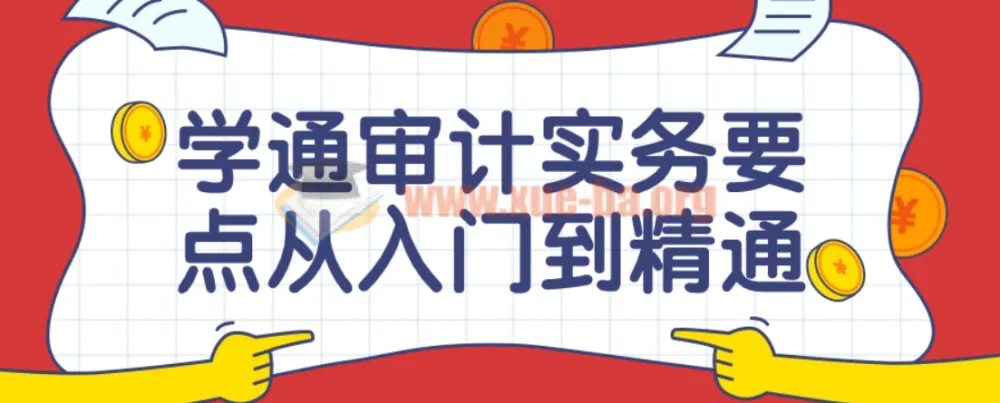 学通审计实务要点:从入门到精通的全流程实操课