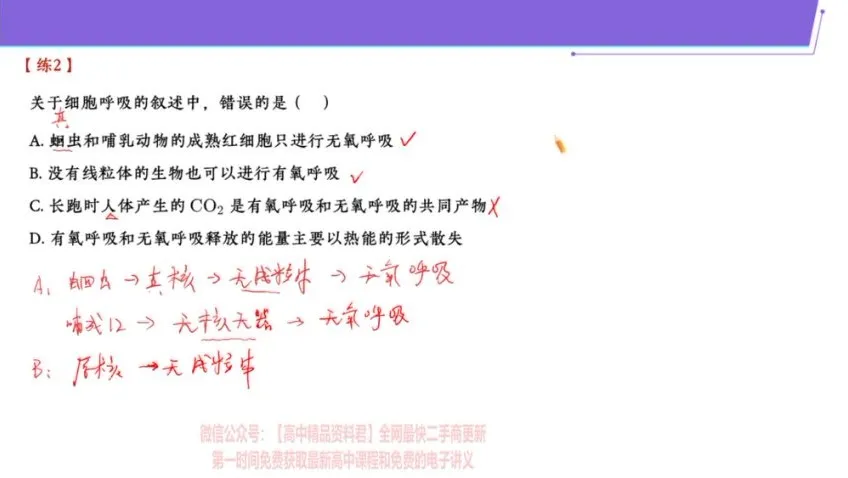 2024高三生物张元振全年班:遗传/细胞/生态专题精讲