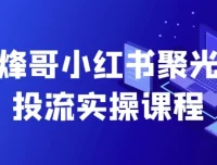 烽哥小红书聚光投流实操课：全面掌握投放技巧