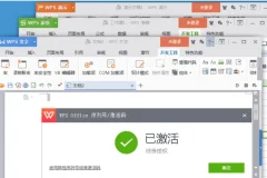 WPS Office 2023 专业增强版：永久激活优化版