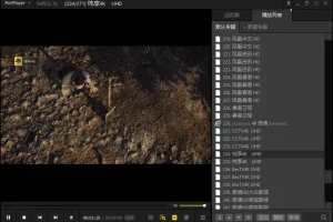 PotPlayer 240618去广告绿色版：免费全能影音播放器