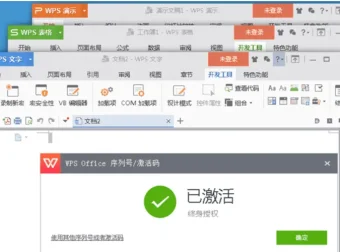WPS Office 2023 专业增强版：永久激活优化版