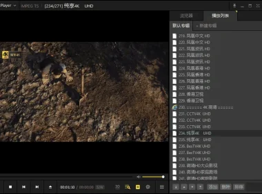 视频播放器 PotPlayer 去广告绿色版
