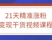21天精准涨粉变现干货课程：从入门到精通
