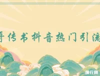 飞哥传书：抖音热门引流变现课程