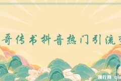 飞哥传书：抖音热门引流变现课程