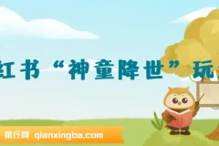 小红书“神童降世”玩法：暴力起号与私域变现秘籍