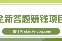全新答题赚钱项目教程，操作简易，小白也能日赚300+