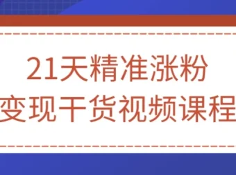 21天精准涨粉变现干货课程：从入门到精通