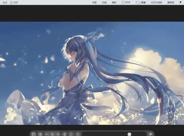 蜂蜜浏览器 BandiView 7.06 中文专业版