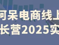 阿呆电商线上成长营2025实操：全流程电商实战课程
