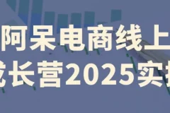 阿呆电商线上成长营2025实操：全流程电商实战课程