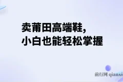 卖莆田高端鞋项目实操：每日两小时，小白轻松日入2000+