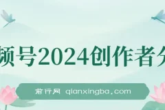 视频号2024创作者分成项目：靠复制粘贴，实现日入2000+